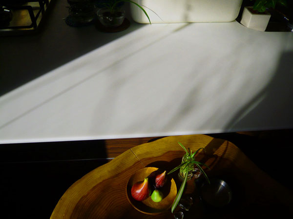 c0131544_5463034.jpg