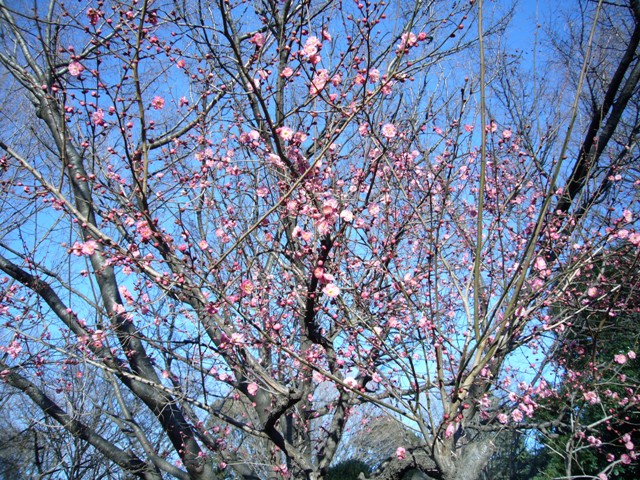 c0122445_2159056.jpg
