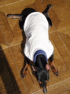 c0123149_13355918.jpg
