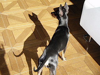 c0123149_1341246.jpg