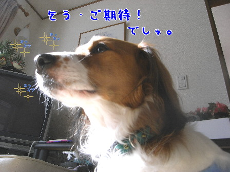 d0013149_0475564.jpg