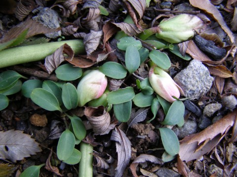 f0043750_222437.jpg