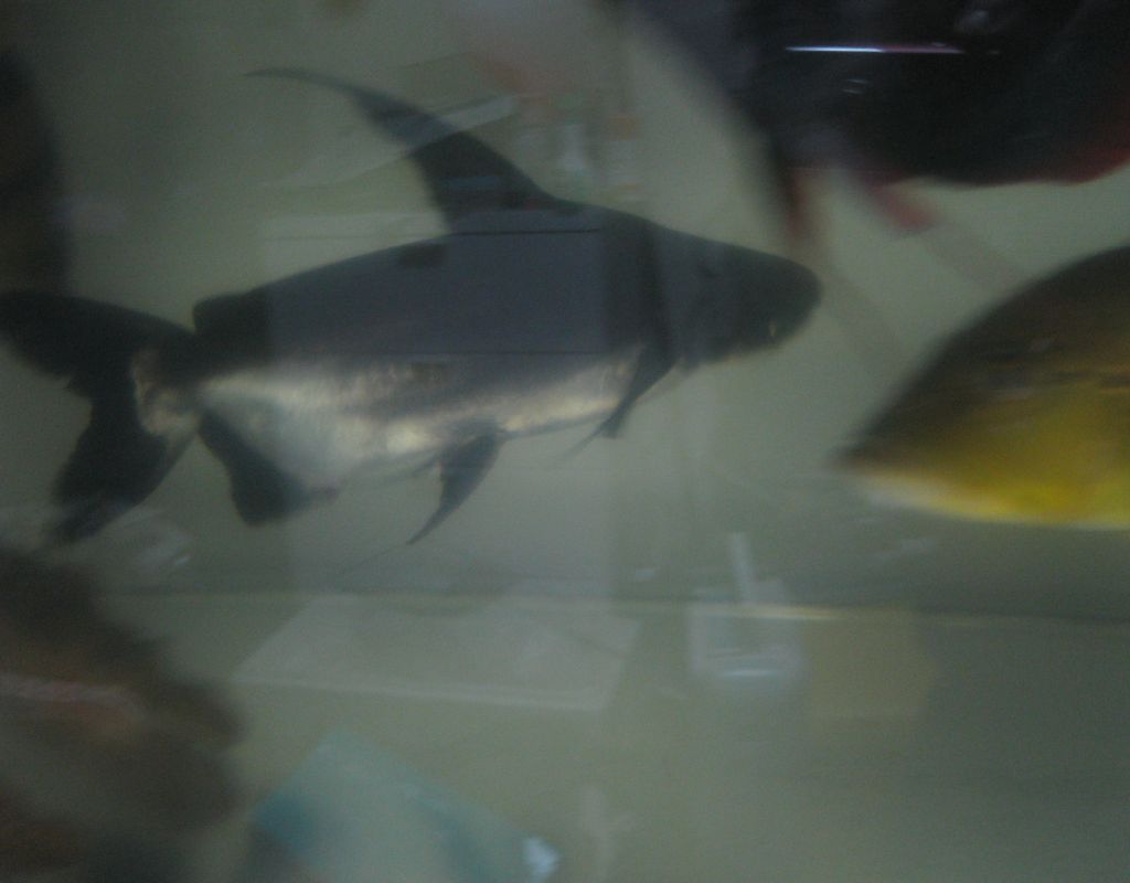 b0082551_129675.jpg