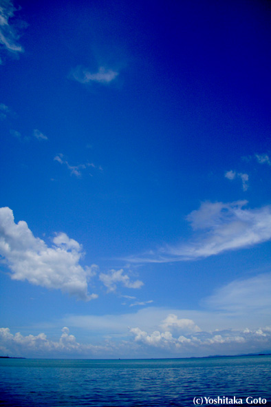 f0013652_20342330.jpg