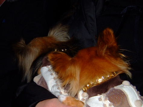 e0088654_21175698.jpg