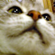 d0029958_20441378.jpg