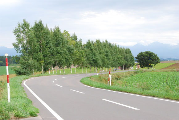 d0113758_19551566.jpg