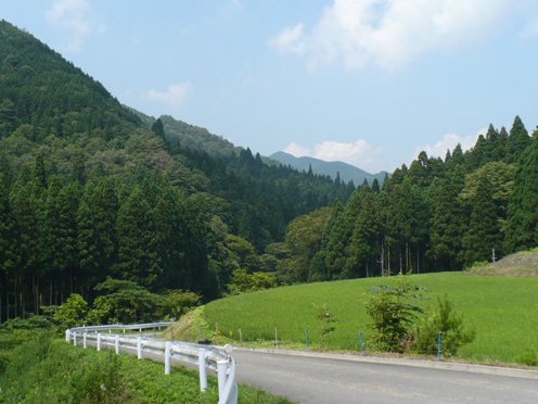 a0063364_15392572.jpg