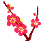 a0063364_15492957.gif