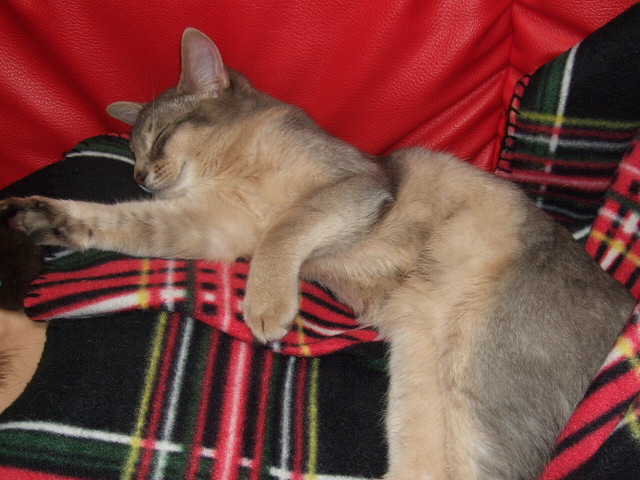 c0139765_240037.jpg