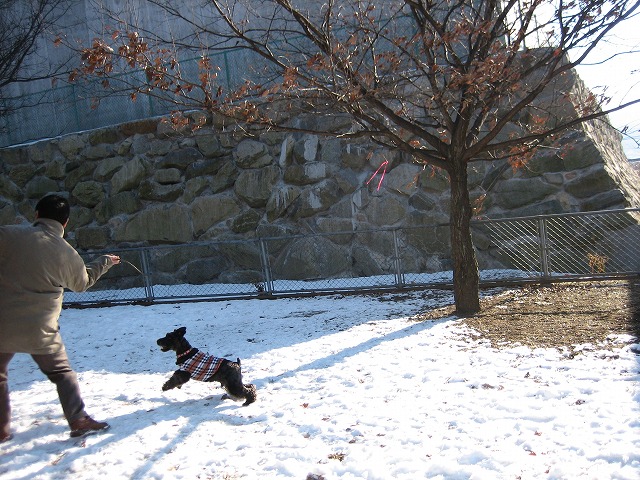 a0104569_228179.jpg