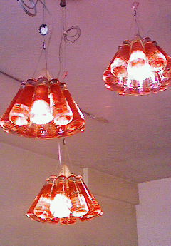 d0087270_143232.jpg