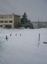 d0026872_2075138.jpg