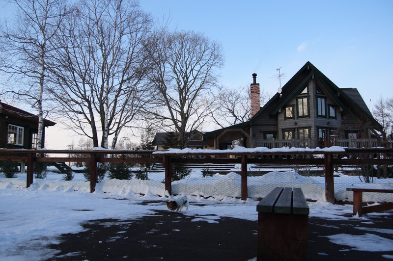 a0016775_23241358.jpg
