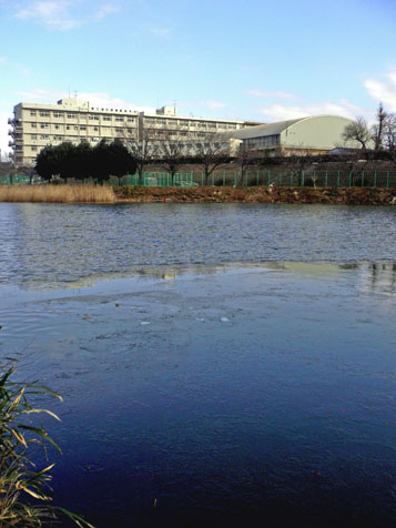 e0112077_1414321.jpg