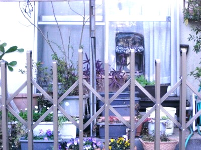 c0078480_206211.jpg