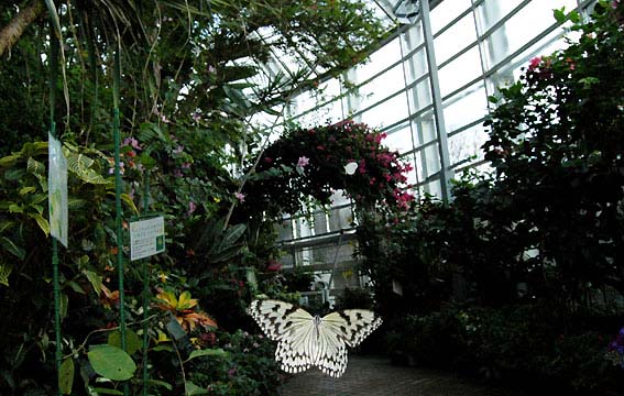 f0090680_143357.jpg