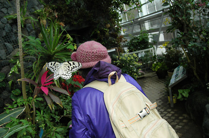 f0090680_1434823.jpg
