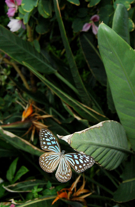 f0090680_1442269.jpg