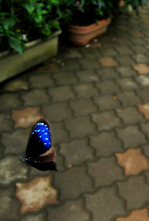 f0090680_1444059.jpg