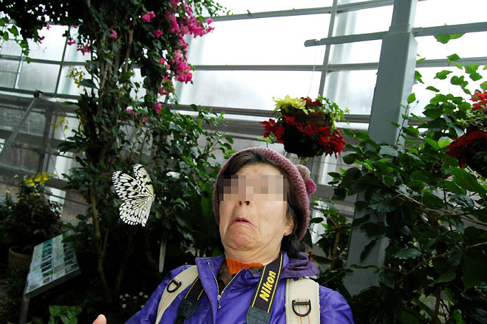 f0090680_144498.jpg