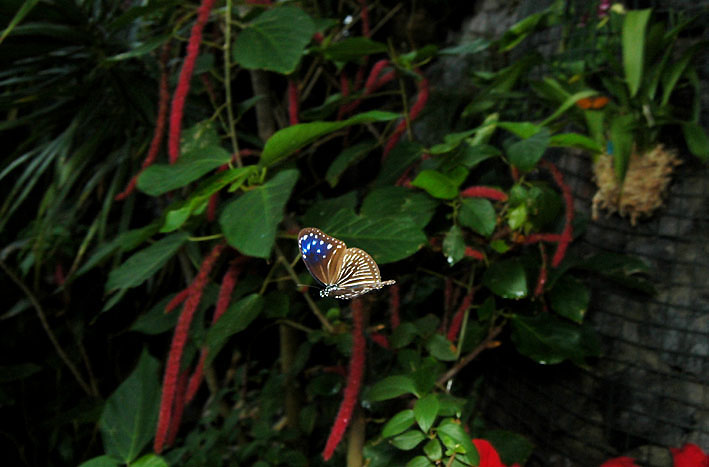f0090680_1445467.jpg