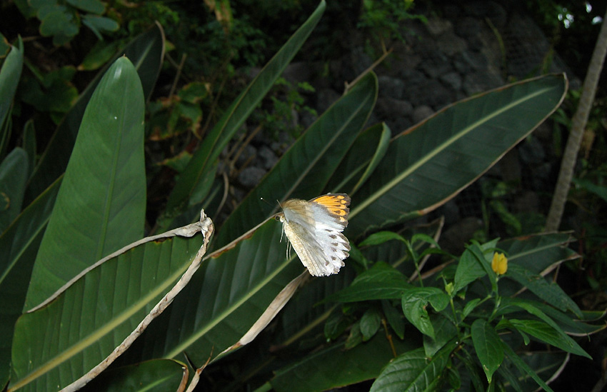 f0090680_1453572.jpg