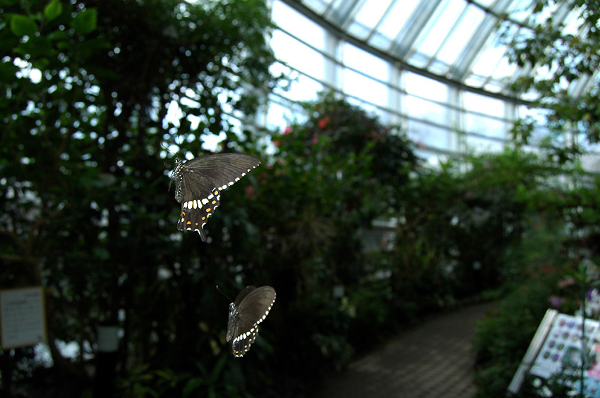 f0090680_1455571.jpg