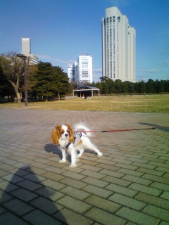 d0044986_15122759.jpg