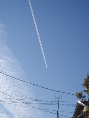 f0130894_17495359.jpg