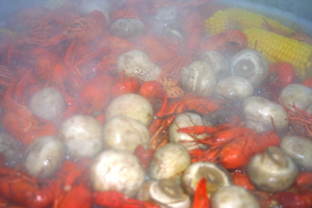 c0062603_5451748.jpg