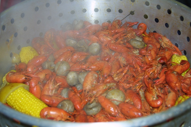 c0062603_551375.jpg