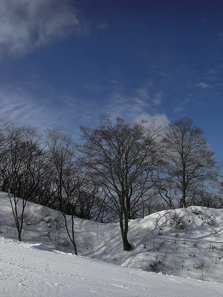 a0041508_22234092.jpg