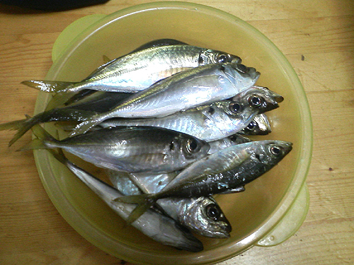 f0060214_9231694.jpg