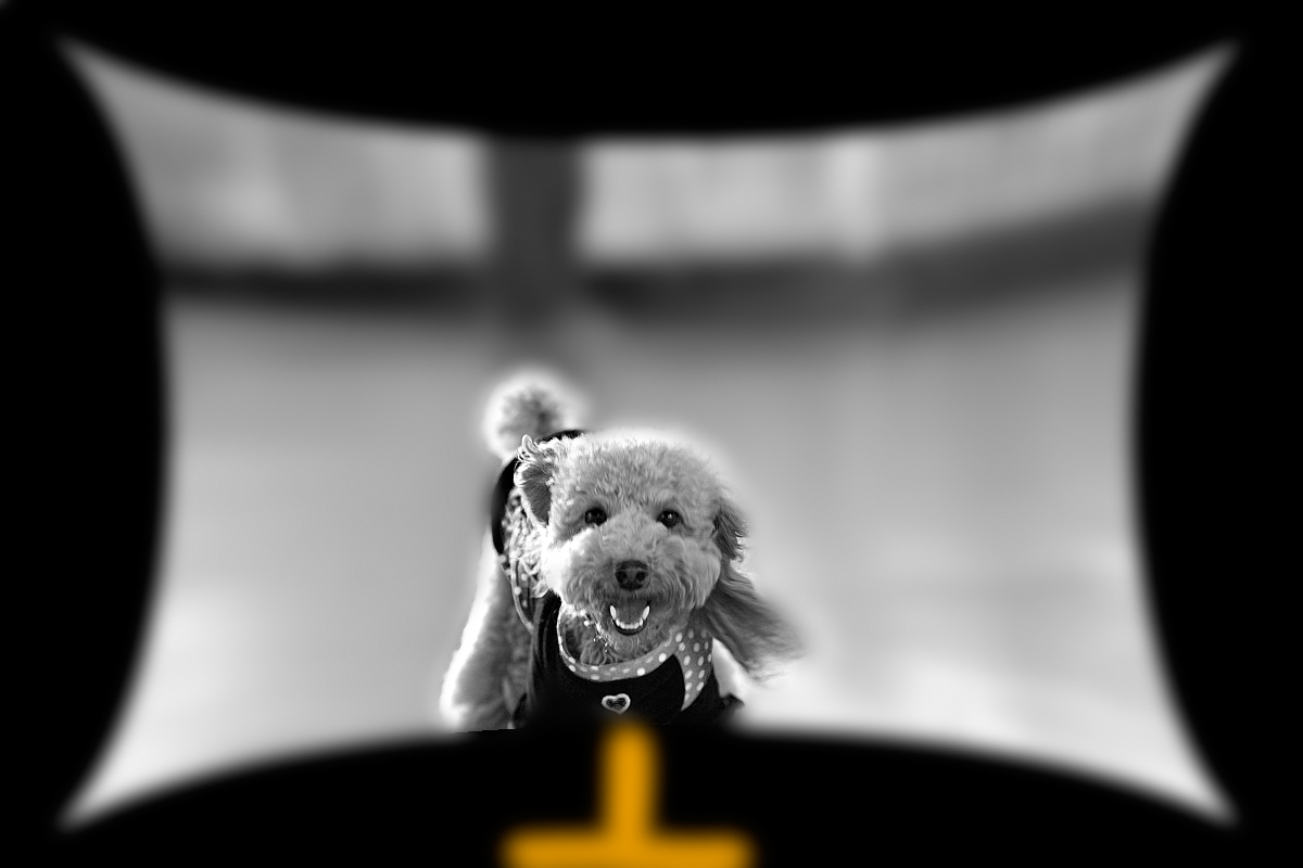 f0014815_12205125.jpg
