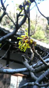 c0048121_155705.jpg