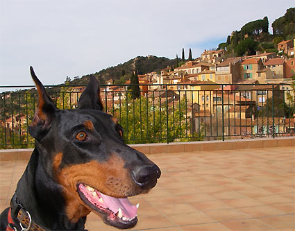 d0062721_23171224.jpg