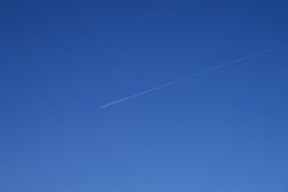 c0035931_20453571.jpg