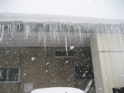 f0080631_2347888.jpg