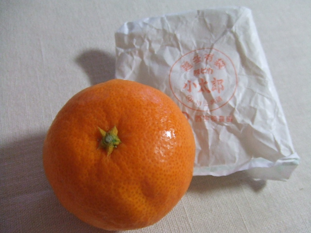 f0149731_23531726.jpg