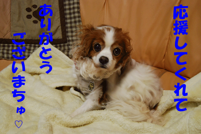 c0136838_2338455.gif