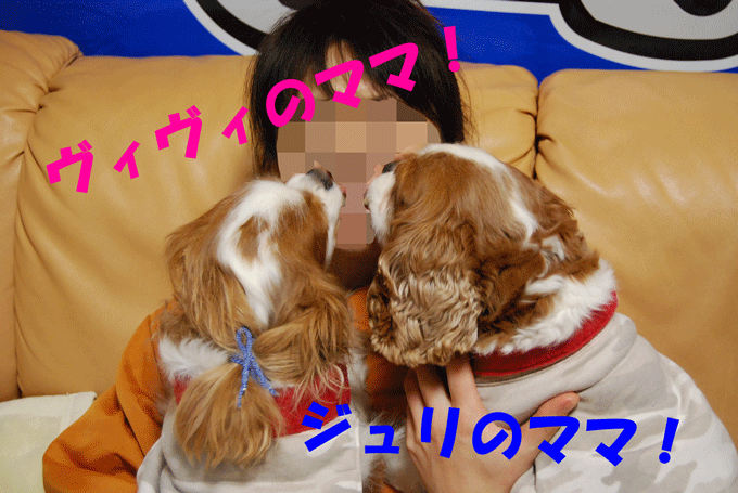 c0136838_23421637.gif