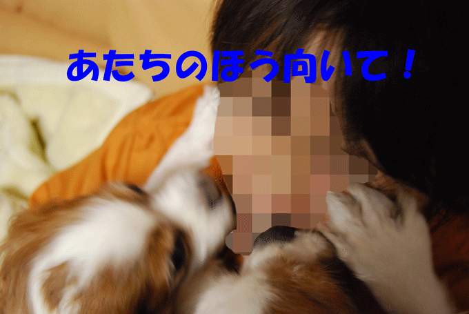 c0136838_2345516.gif