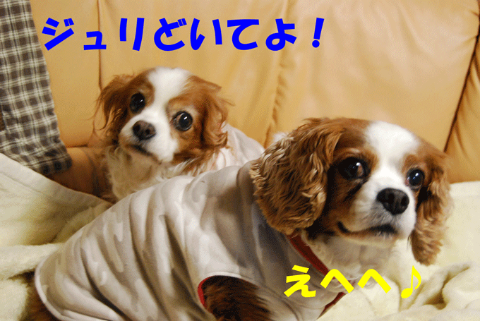 c0136838_23535877.gif