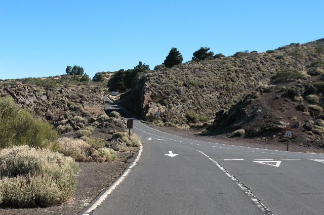 e0098241_13344639.jpg