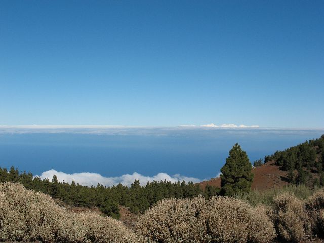 e0098241_1335016.jpg