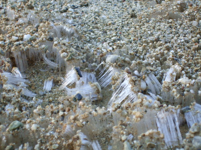 e0085543_1053419.jpg