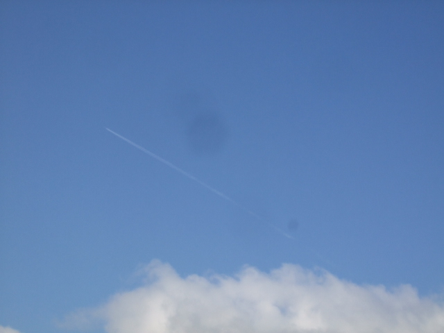 e0085543_1083663.jpg