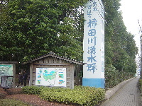 d0129745_20141641.jpg