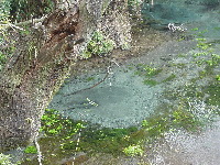 d0129745_21909.jpg